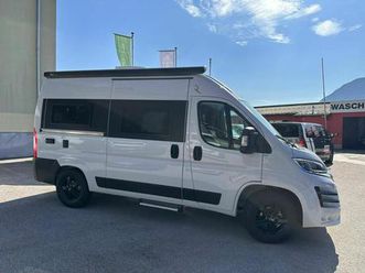 robeta dionysus l2h2