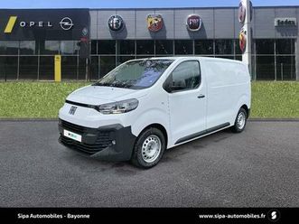 fourgon bluehdi 145 m bvm6