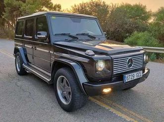 g 55 amg