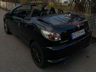 206 cc 110 quiksilver