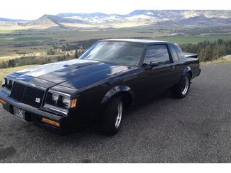 1987 buick gnx - regal