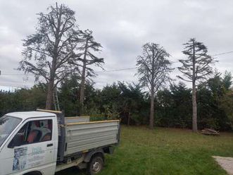 piaggio quargo ribaltabile 2007