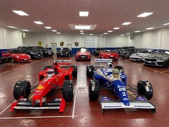 purosangue purosangue