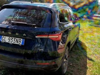 karoq 2022 2.0 tdi evo executive 4x4 150cv dsg