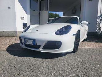 cayman 2.9