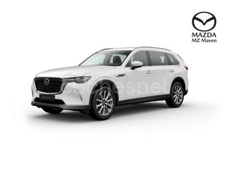 vehículo de sustitución