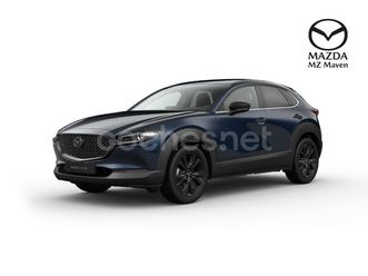 vehículo de sustitución