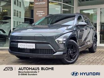 elektro 65 kwh trend my26, elektr. heckklappe, nav