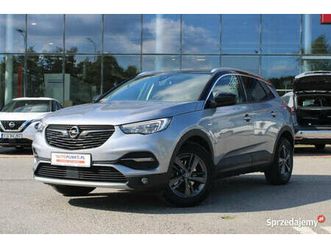 opel grandland x, 2021r. salonpl* carplay* podgrz. szyba* kamera* kraków - sprzedajemy.pl