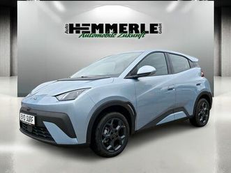 byd dolphin surf boost*kamera* black friday - preis