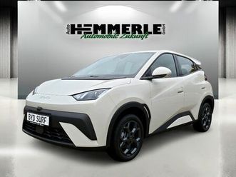 byd dolphin surf boost*kamera* black friday - preis