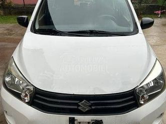 suzuki celerio amatic