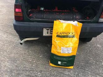 panda sisley 4x4 anno 1989