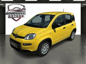 fiat panda pandina