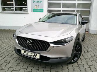 skyactiv 186 homura navi/hud/kamera