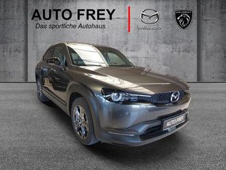 ev first edition+ad`vantage+modern confidence+1.hand+mwst.auswb. elektro