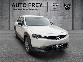 elektro ad`vantage / industrial vintage