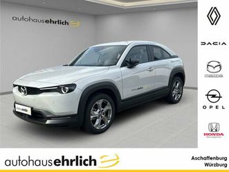 ev exclusive-line navi, ausparkhilfe, kame