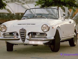 1600 spider (duetto) 1600 spider (duetto)