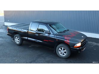 dakota sport| lukkoperä| hyvin säilynyt yksilö | rahoitus