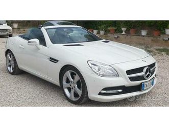 settore inglese cuccioli