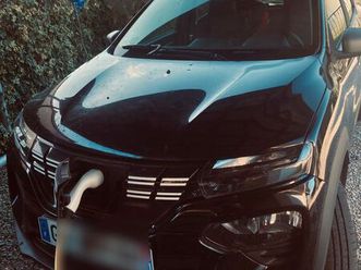 dacia spring expression