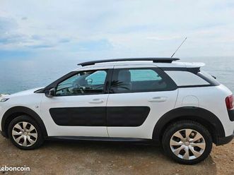 c4 cactus
