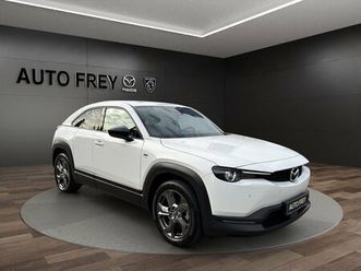 advantage kamera navi led