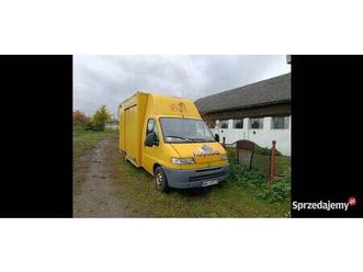 koniowóz fiat ducato na 2konie, do 3,5t prudnik - sprzedajemy.pl