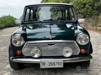 mini 1300