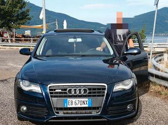 monta scottish fold blu