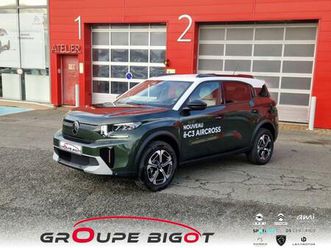 electrique 113ch max