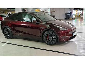 tesla model y awd - performance - ddv vključen