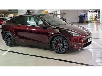 tesla model y awd - performance - ddv vključen