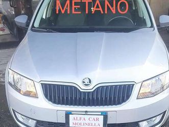 wagon 1.4 tsi g-tec executive 110cv