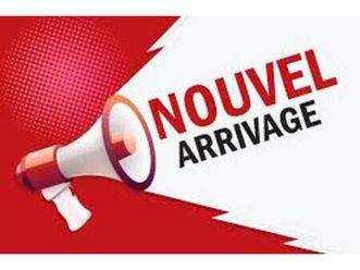 patriot 4wd 75 th édition/tout équipé/garanti