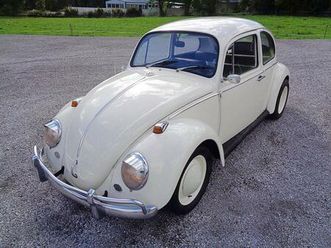 volkswagen beetle d'epoca del 1965 a pescara