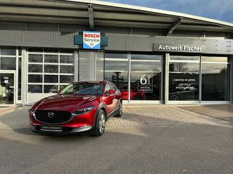 mazda cx-30 g150 selection matrix/kamera/sitzhzg./pdc