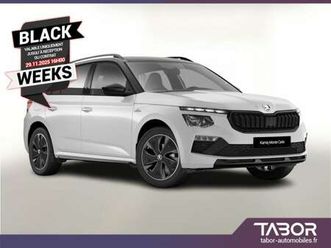 tsi 116 dsg montec pano matrix cam