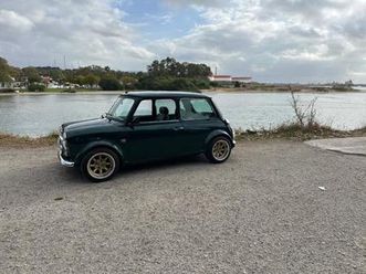 rover - mini
