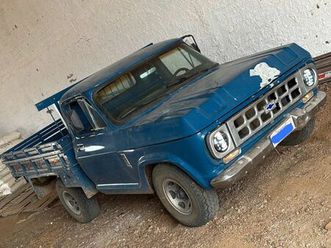 d-10 chevrolet 2.5/4.1 1981