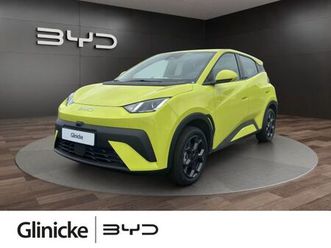 byd dolphin surf boost tageszulassung