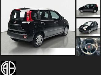 fiat panda 1.0 mild hybrid pandina icon (euro 6e)