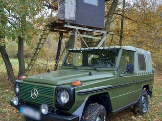 mercedes g 250 gd wolf