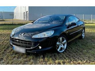 peugeot 407 3.0 v6 (top gefleckt)