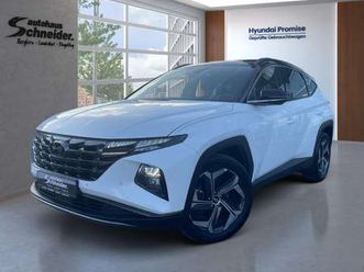 1.6 tgdi 4wd phev trend ehk/krell sound