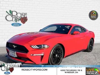 2019 ford mustang ecoboost premium