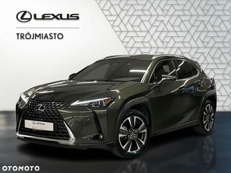 lexus ux 300h business