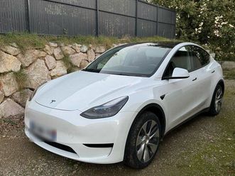 tesla model y propulsion