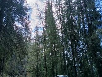 vând seat altea xl 4x4